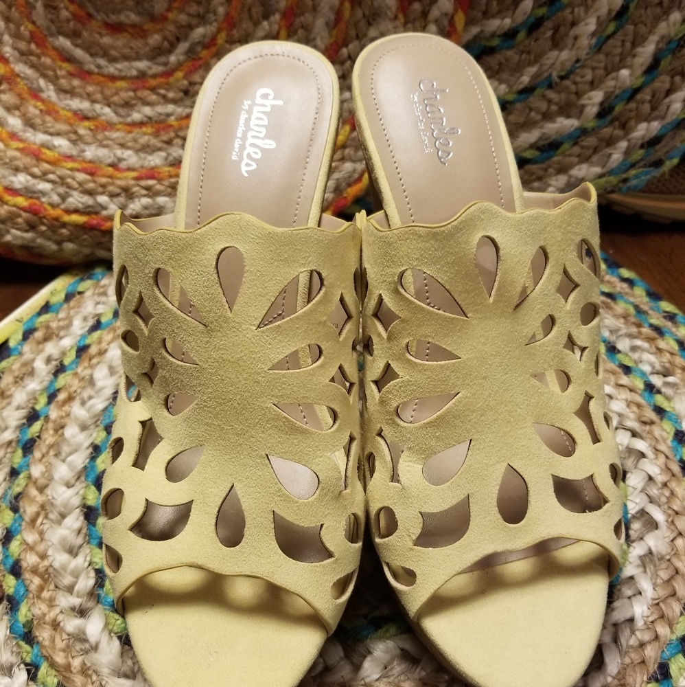Charles david wedges NWOT